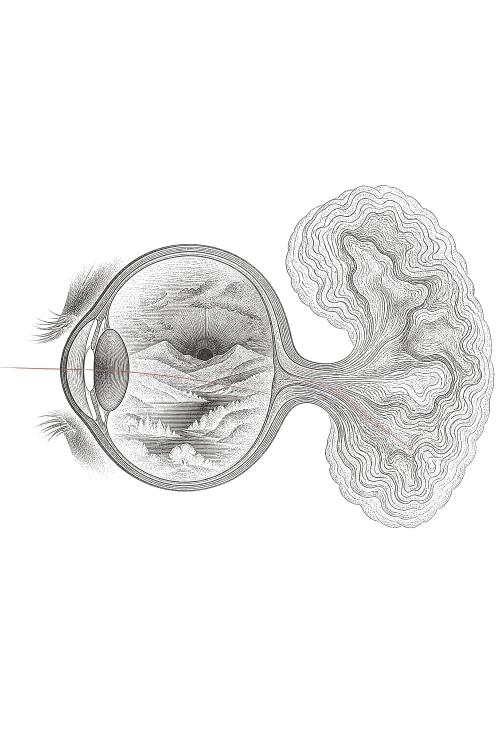 An engraved eye with a tiny landscape inside it, its nerve flowing into a brain drawn like a map